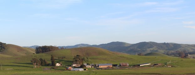 Breathaking scenery on a working farm at Open Field Farm in Petaluma