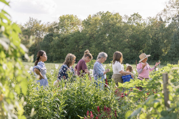 You Pick Flower Experience at Little Petal Farm