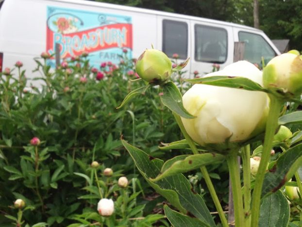 Broadturn Farm's vivid branding embellishes the delivery van