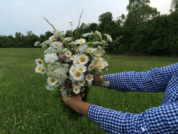 A Kentucky bouquet 