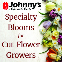 Johnny's Selected Seeds for the Slow Flowers Podcast 2024