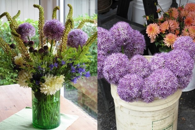 This summertime bouquet features gorgeous alliums and their companions.