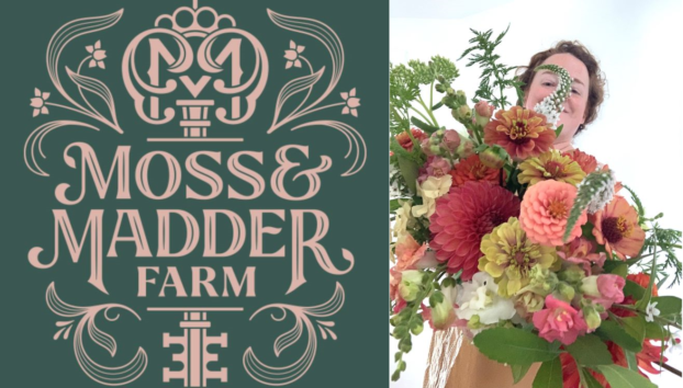 Moss and Madder Farm with Jodi Logue
