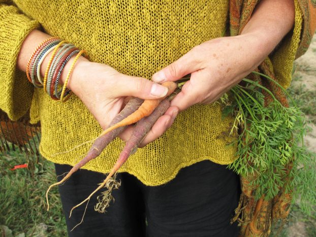 Lorene Edwards Forkner hands holding carrots
