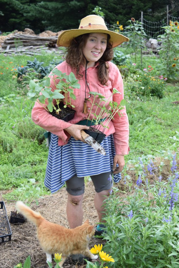 Marybeth Wehrung, Stars of the Meadow Farm.