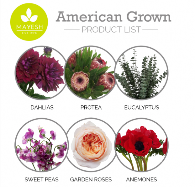 American Grown Product List, developed by Mayesh Wholesale for our celebration.