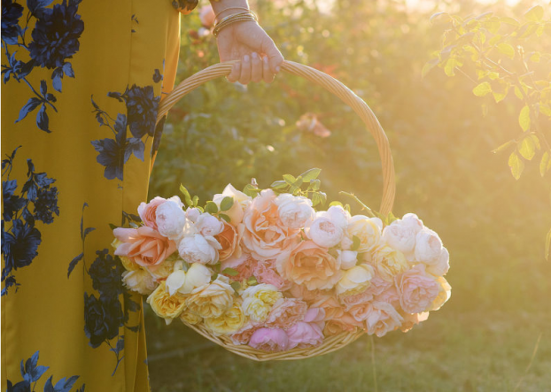 basket of roses