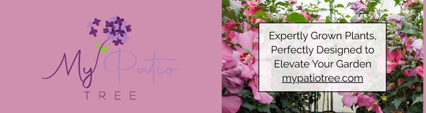 My Patio Tree banner ad