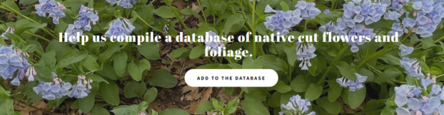 Native Flower and Foliage for floral design database