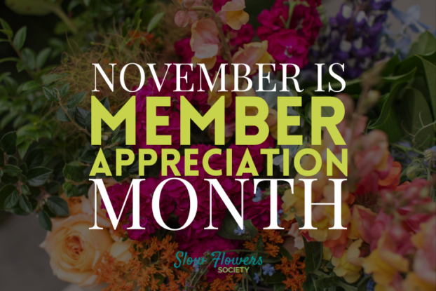 Member Appreciation Month - November 2023