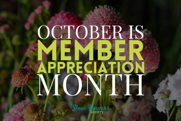October Member Month