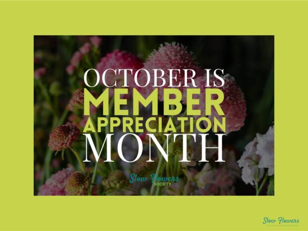 Member appreciation month