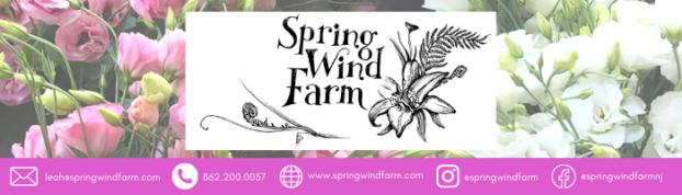 Spring Wind Farm