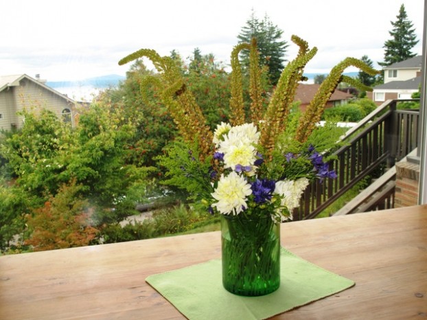 Step Four: Insert a dozen foxtail lilies (Eremurus x isabellinus). This variety is a Shelford hybrid.