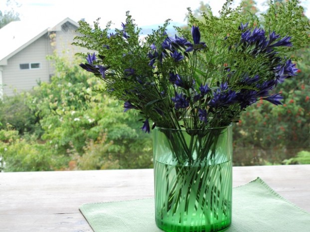 Step Two: Add 20 stems of Brodiaea coronaria, cut at two different heights for variety.