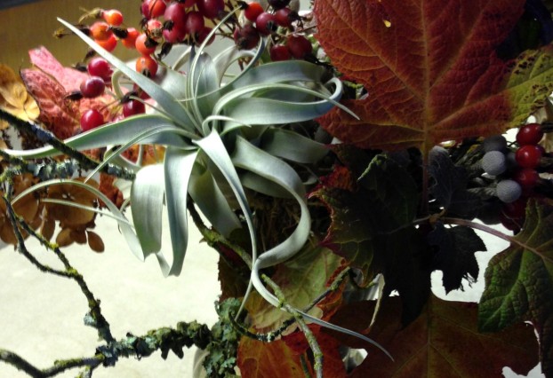 An autumn bouquet with a tillandsia.