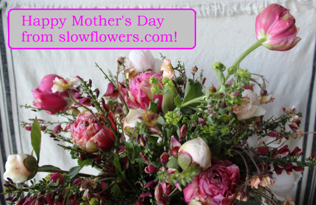 All local Northwest-grown flowers for Mother's Day from some of my favorite flower farmers, including Ojeda Farms, Triple Wren Farm, Jello Mold Farm, Seattle Wholesale Growers Market.