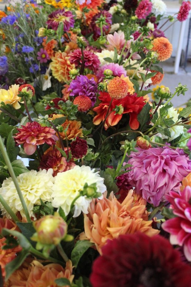 A vibrant palette of Colorado-grown flowers from Zephyros Farm & Garden