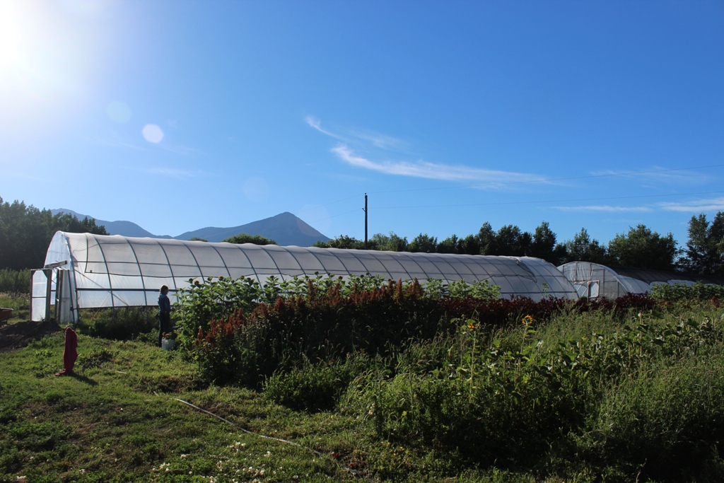 Morning in Paonia, Colorado, at Zephyros Farm & Garden.