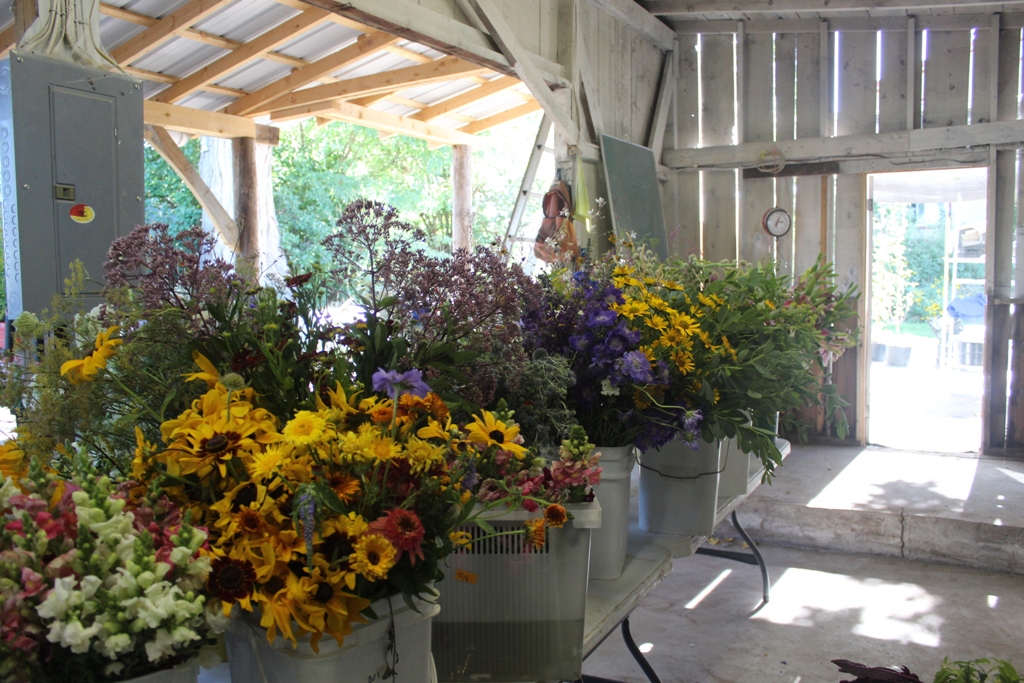 The design shed where all the bouquest are made and two huge walk-in coolers protect stems and blooms from Colorado's hot summer temps.