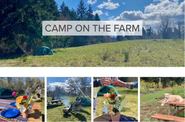 camping at Sweet Alyssum Farm