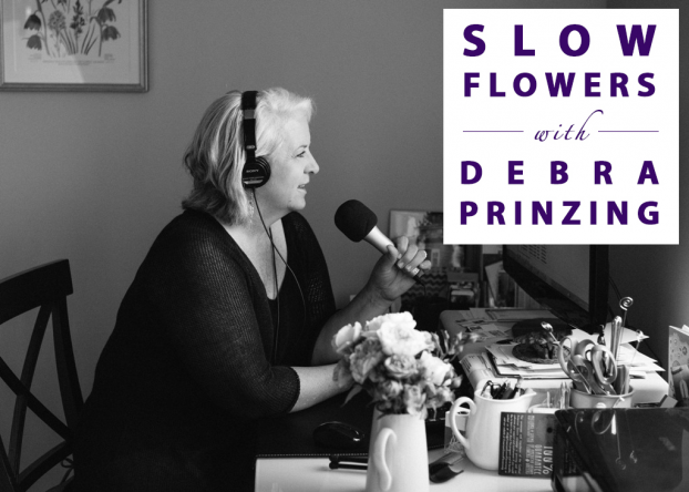 Debra Prinzing with microphone