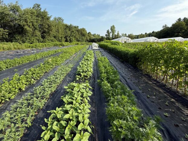 Floramama Farm