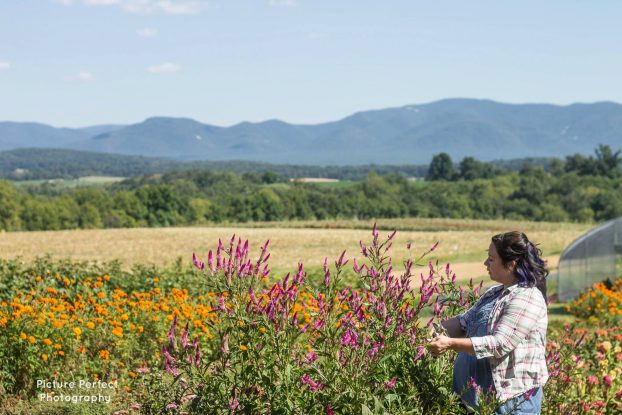 Jessica Hall, chief flower grower, and partner in Harmony Harvest Farm, seen against the beautiful rural backdrop of the Shenandoah Valley, Virginia