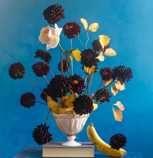 Dahlias and bananas