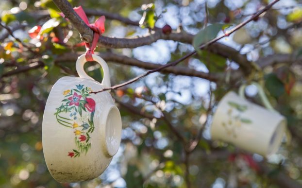 Teacups strung from the apple tree.