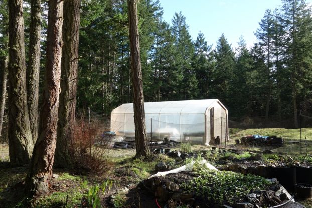 greenhouse at dancing flower farm