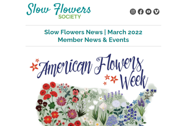 header Slow Flowers Newsletter