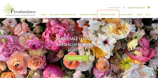 Florabundance Web Site