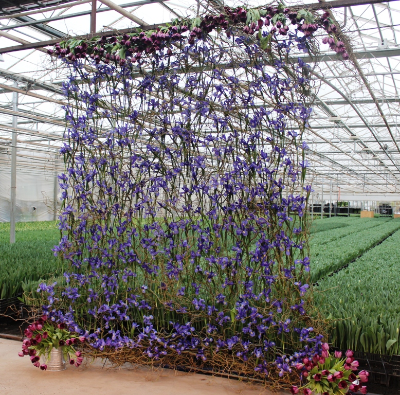 The magnificent iris curtain, pairing Sun Valley Flower Farm's iconic irises with Faye Krause's artistry. (c) Debra Prinzing