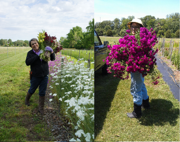 The Gardener's Workshop Cut Flower Farm: Lisa Ziegler 