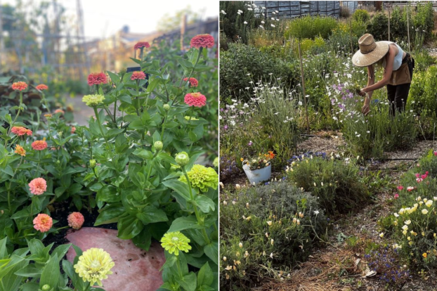 Marigolds (Frogtown Flora, Left) and Hannah and Golden Heron (Right)