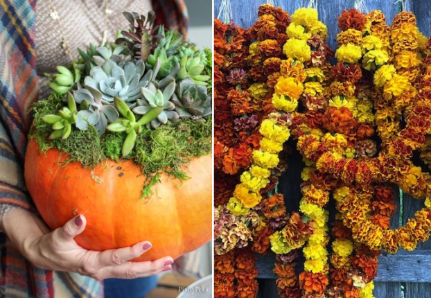 Succulent pumpkin design by Eileen Tongson of FarmGal Flowers (left) and Marigold Garland by Caitlin Mathes of The Marigold Garden (right)