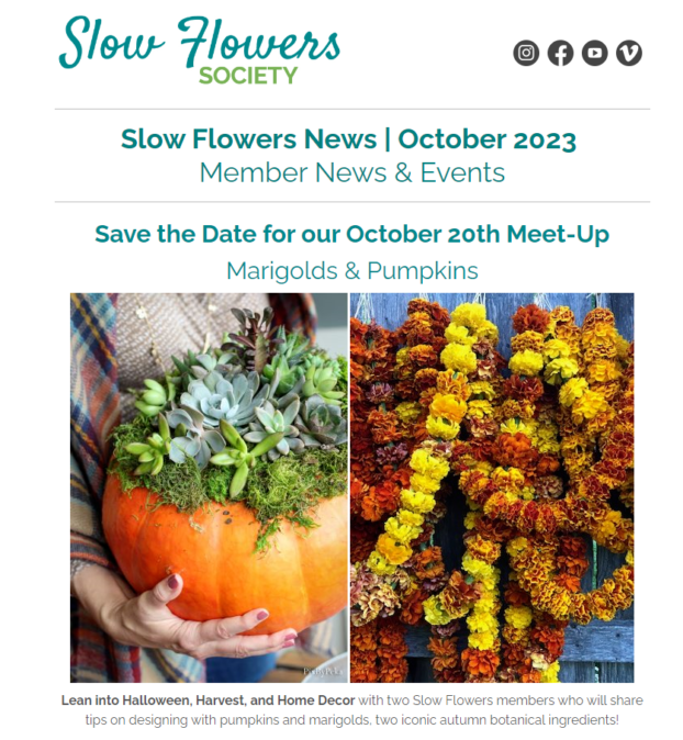 Slow Flowers Newsletter October 2023