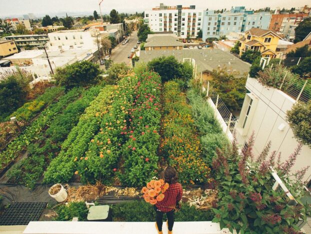 rooftop overview