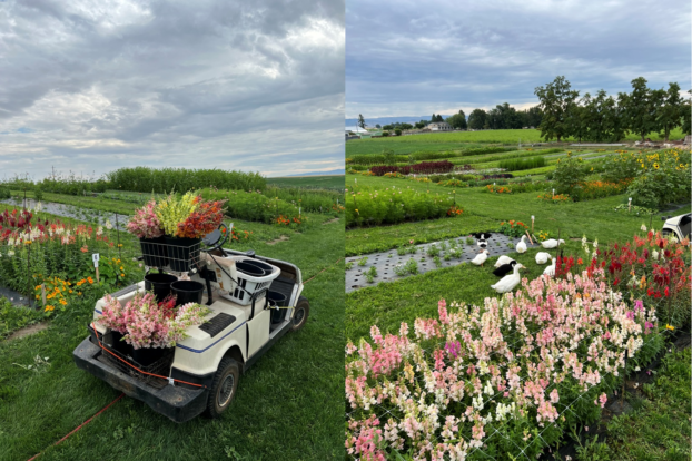 Walla Walla Flower Farm