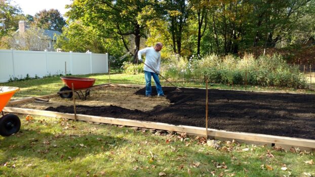 building raised beds