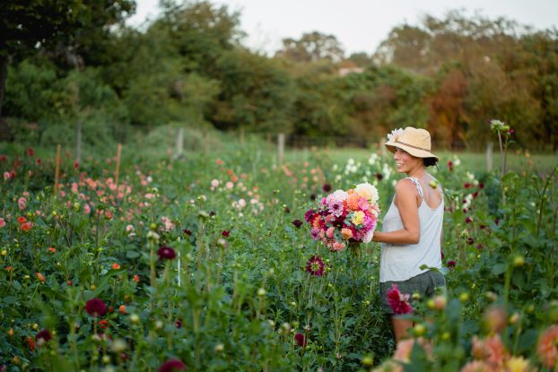 In the dahlia fields at The Farm at Oxford (c) Mariya Stecklair Photography