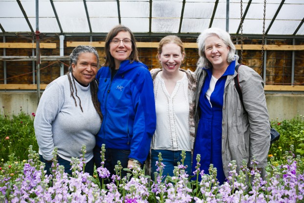 Mimo, Miranda, Andrea and Debra - inside the Urban Buds' greenhouse in St. Louis.