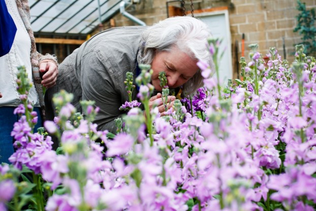 Tiffany caught this image of me as I sampled (sniffed) the first crop of beautiful stock at Urban Buds