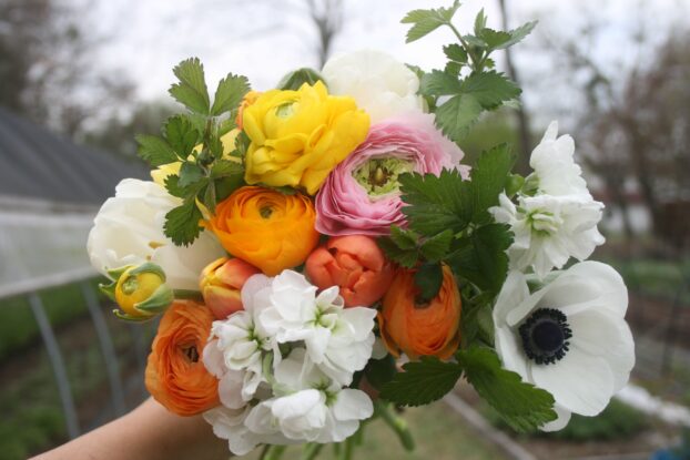 How to Style Artificial Flowers in a Compote - Caitlin Marie Design