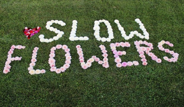 Slow Flowers in flower letters