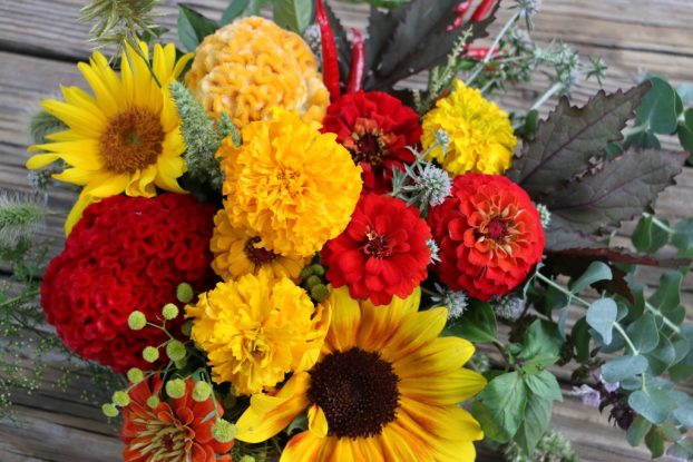 . Make a centerpiece sizzle with hot red peppers and golden sunflowers. Andrea K. Grist, of Andrea K. Grist Floral Designs in Lees Summit, Missouri, celebrates autumn by pairing sunflowers and peppers with golden marigolds and crimson zinnias and celosia, along with herbs and greenery. 