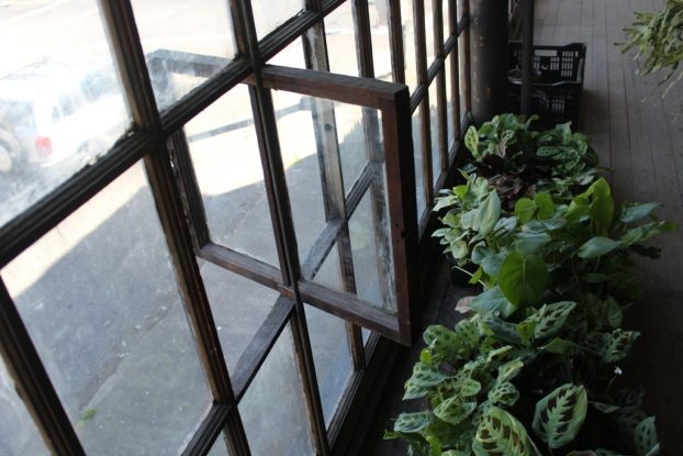 Plants occupy every nook and cranny in the new store, including in the upstairs mezzanine.