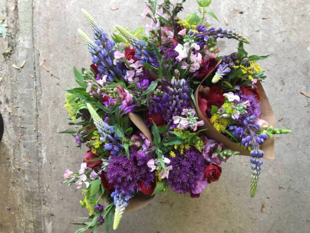 Lupine bouquets