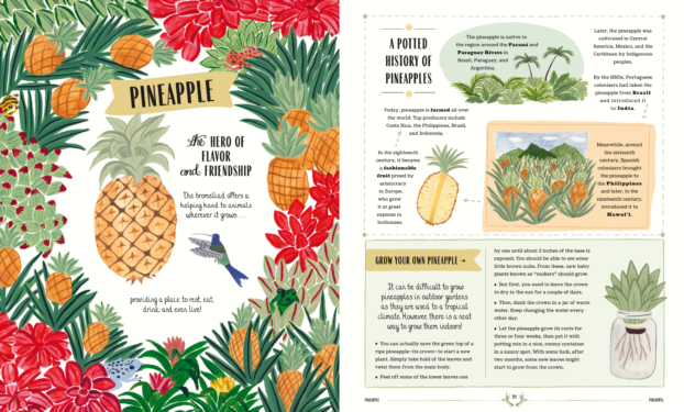 Grow Pineapple spread